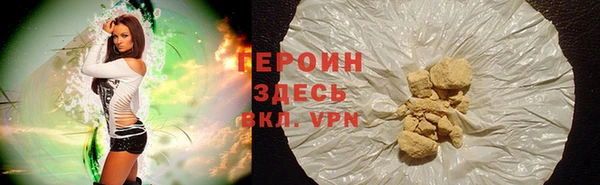 гидра Вязьма