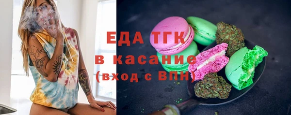 гидра Вязьма
