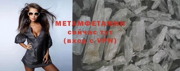 PSILOCYBIN Вяземский