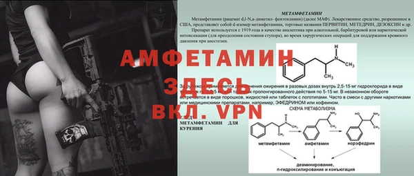 PSILOCYBIN Вяземский