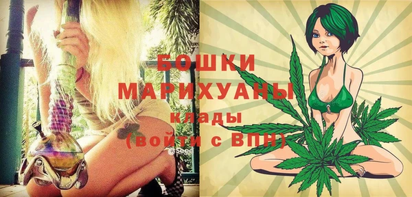 гидра Гусь-Хрустальный
