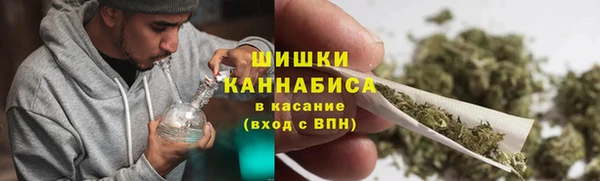 PSILOCYBIN Вяземский
