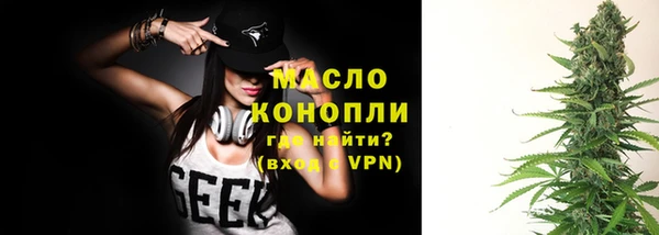 гидра Вязьма