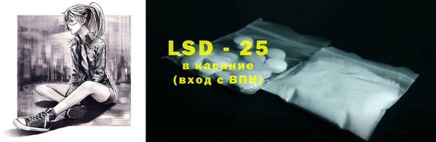 PSILOCYBIN Вяземский