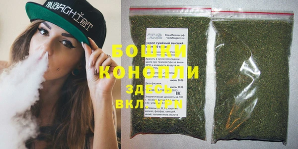 PSILOCYBIN Вяземский