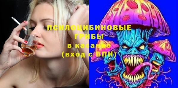 гидра Вязьма