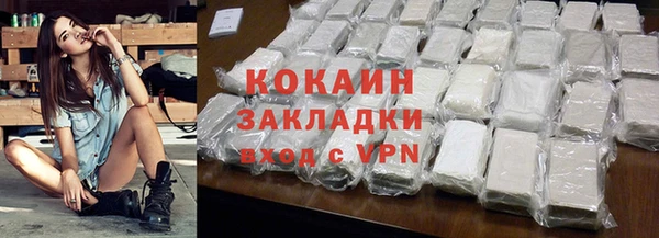 PSILOCYBIN Вяземский